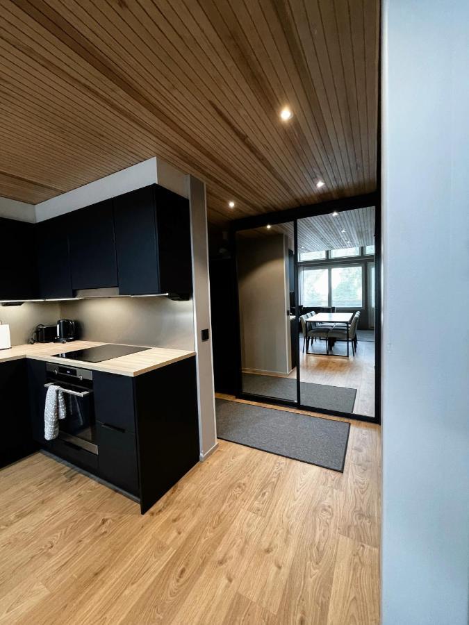 Aparthotel Levin Kunkku B Penthouse Zewnętrze zdjęcie